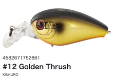 Load image into Gallery viewer, Hideup HU-70SDA