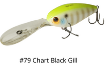 Load image into Gallery viewer, Hideup HU-500