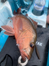 Load image into Gallery viewer, Noike wobble shad 4"