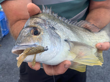 Load image into Gallery viewer, Noike Yabby