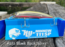 Load image into Gallery viewer, Hideup HU-MINNOW 111SP AUSPEC