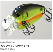 Load image into Gallery viewer, Hideup HU-70