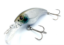 Load image into Gallery viewer, ISM Closer SR 55F