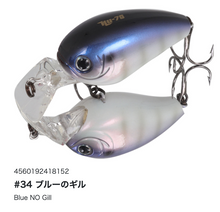 Load image into Gallery viewer, Hideup HU-70