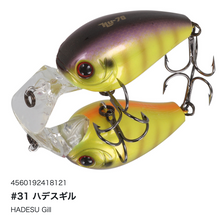 Load image into Gallery viewer, Hideup HU-70