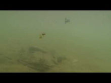 Load and play video in Gallery viewer, Noike wobble shad 3"